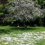 Tollundgaard Golf Park &