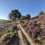Tollundgaard Golf Park & Funder Kirkeby