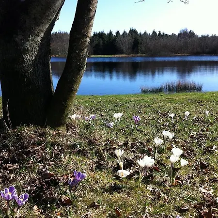 Tollundgaard Golf Park & Lejlighed