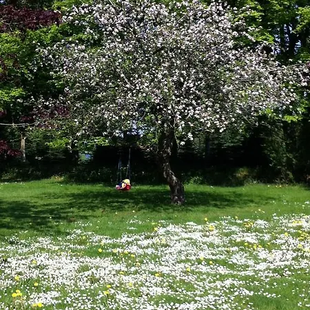 Tollundgaard Golf Park & Apartment
