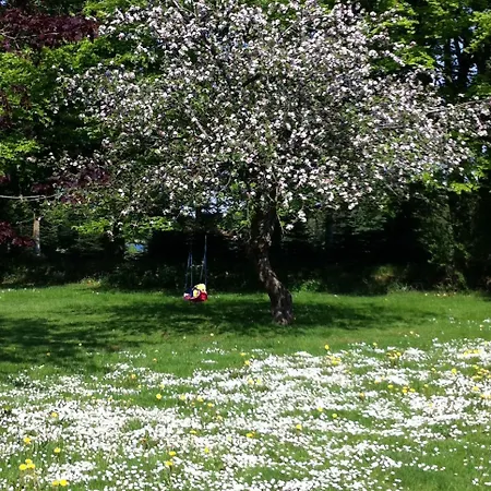 Tollundgaard Golf Park &
