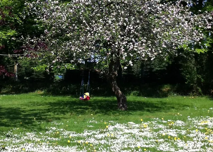 Tollundgaard Golf Park &