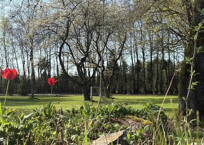 Tollundgaard Golf Park&apartments Funder Kirkeby